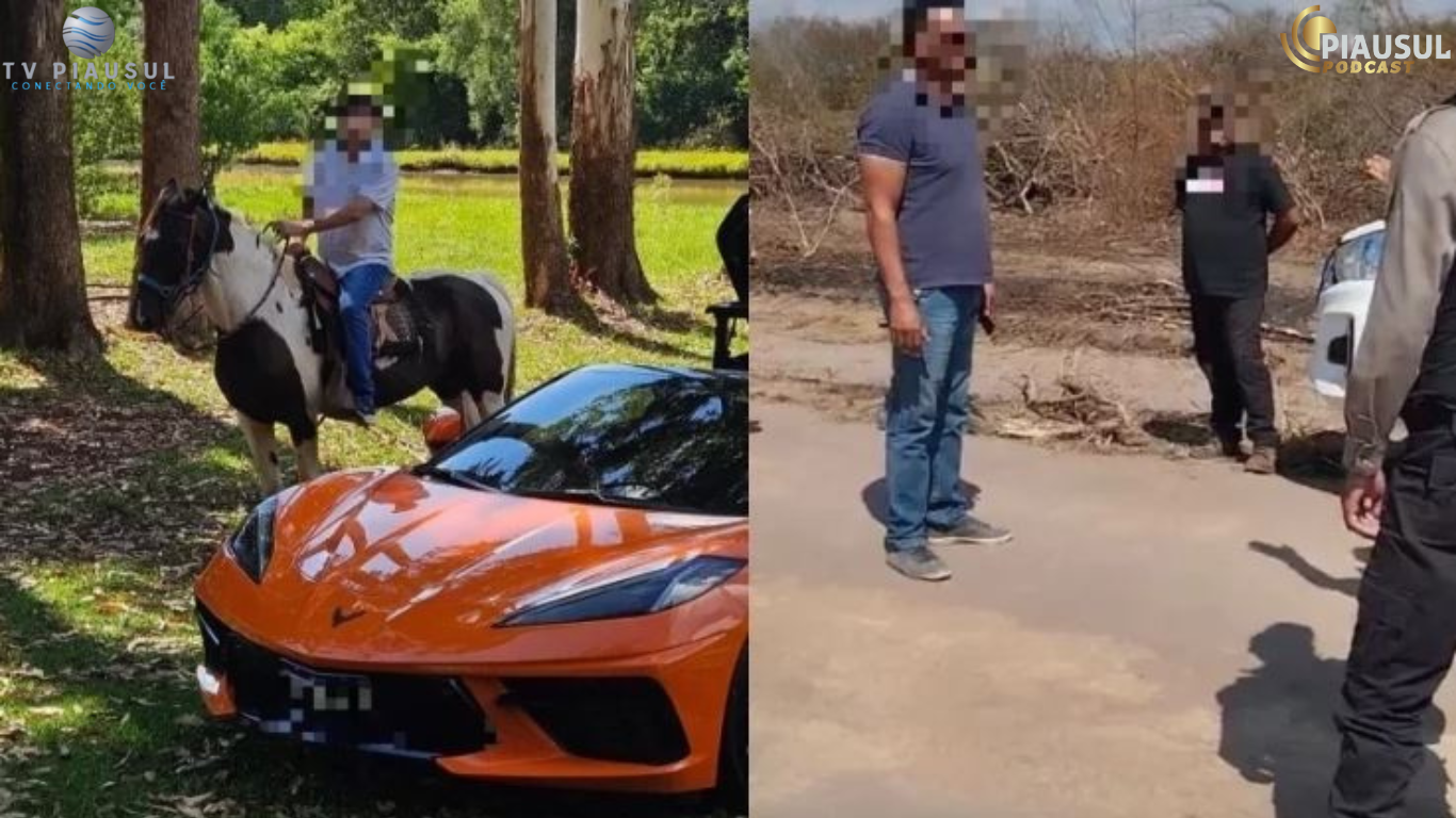 Empresários São Alvo de Operação Policial por Grilagem e Desmatamento em Terras Públicas no Sul do Piauí